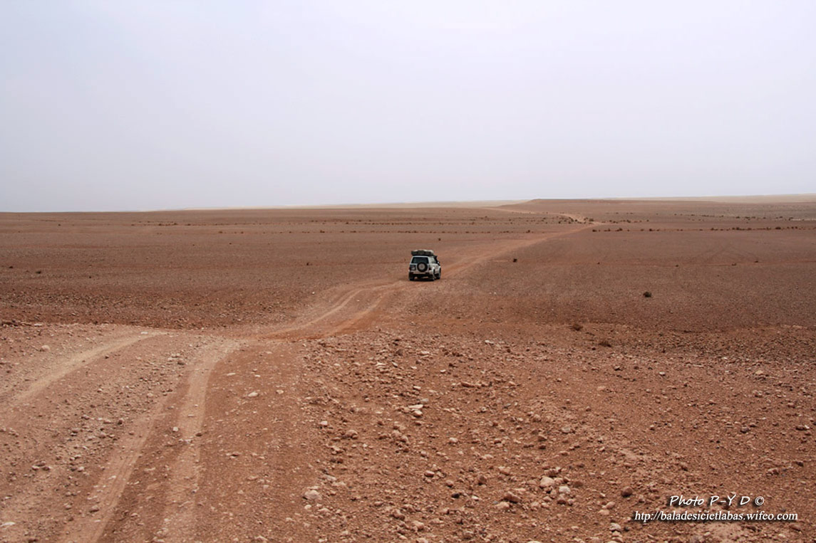 Maroc, pistes, 4x4, oasis, sable, sud maroc, Rekkam,